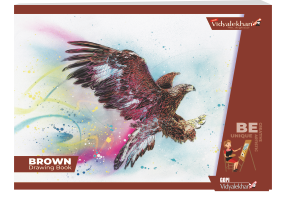 Brown Drawing Book