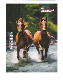 A4 College Book (Soft Bound)